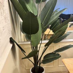 2 Artificial Plants
