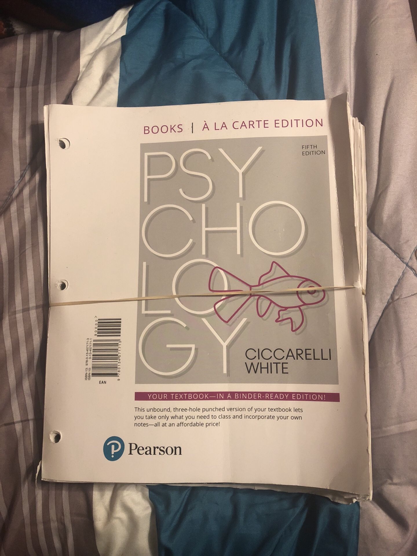 Psychology book