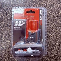 Milwaukee 48-11-24 Battery