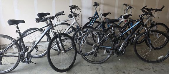 🎈🚲Bike Bonanza🚲🎈