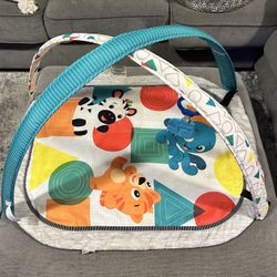 Baby Play Mat