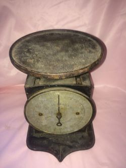 Antique universal family scale