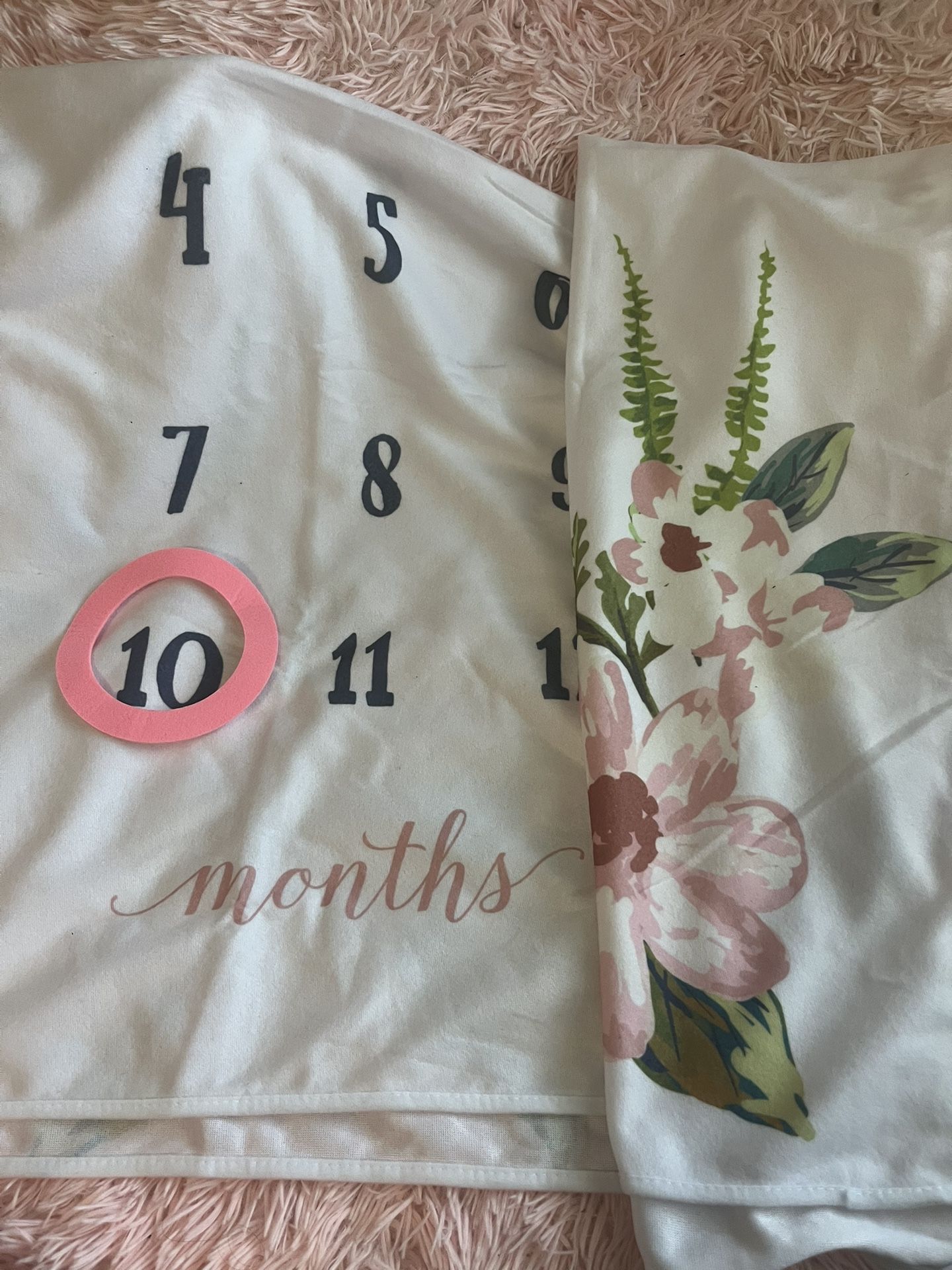 Baby Milestone Blanket