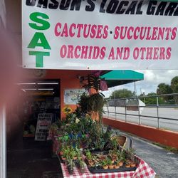 6-26-21 Selection At Jason's Local Garden Located In New River Grove In Davie 