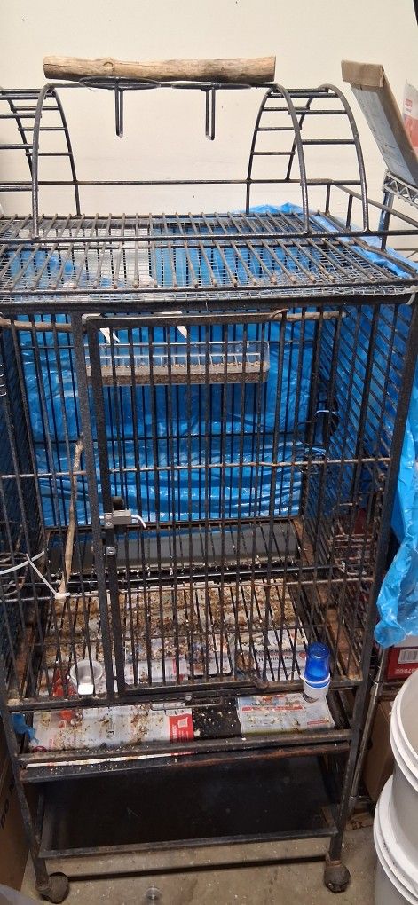 😁😁😁BIRD CAGE JAULA😁😁