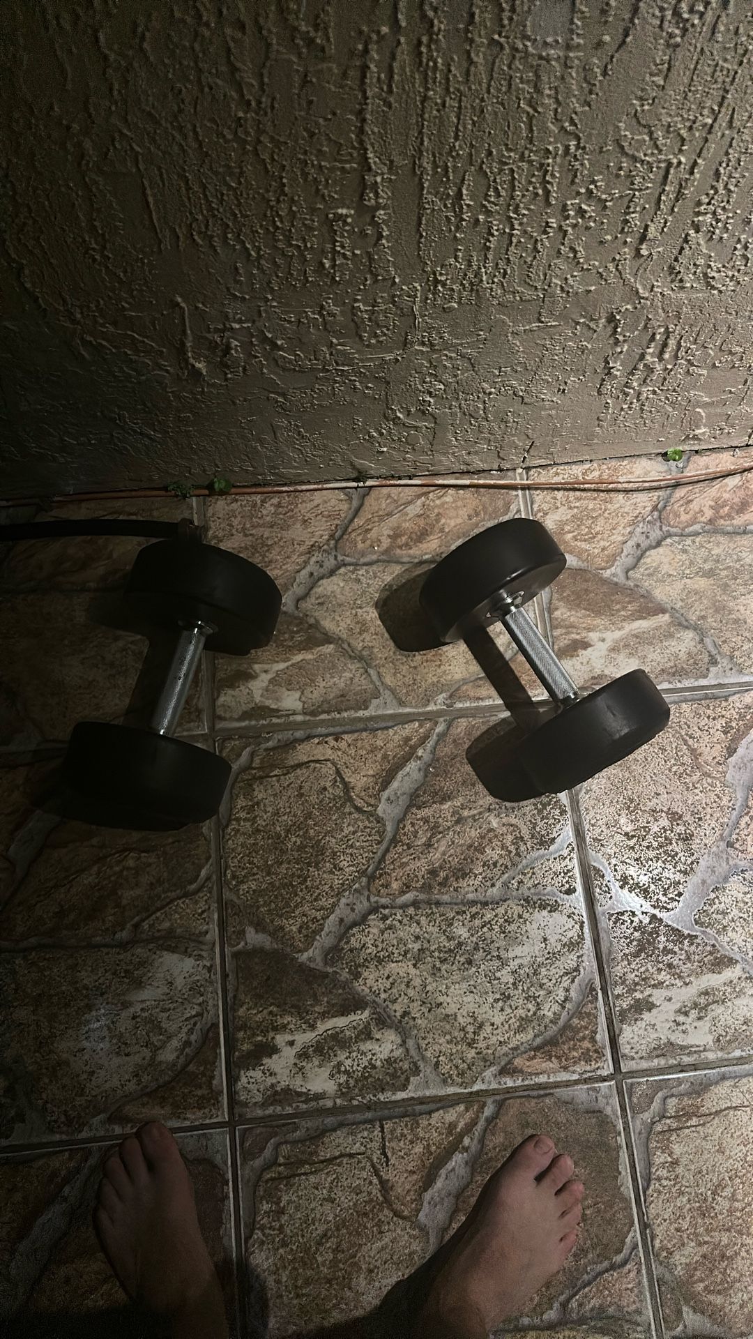 45 Lb Dumbbells set