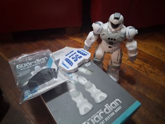 Robot guardians