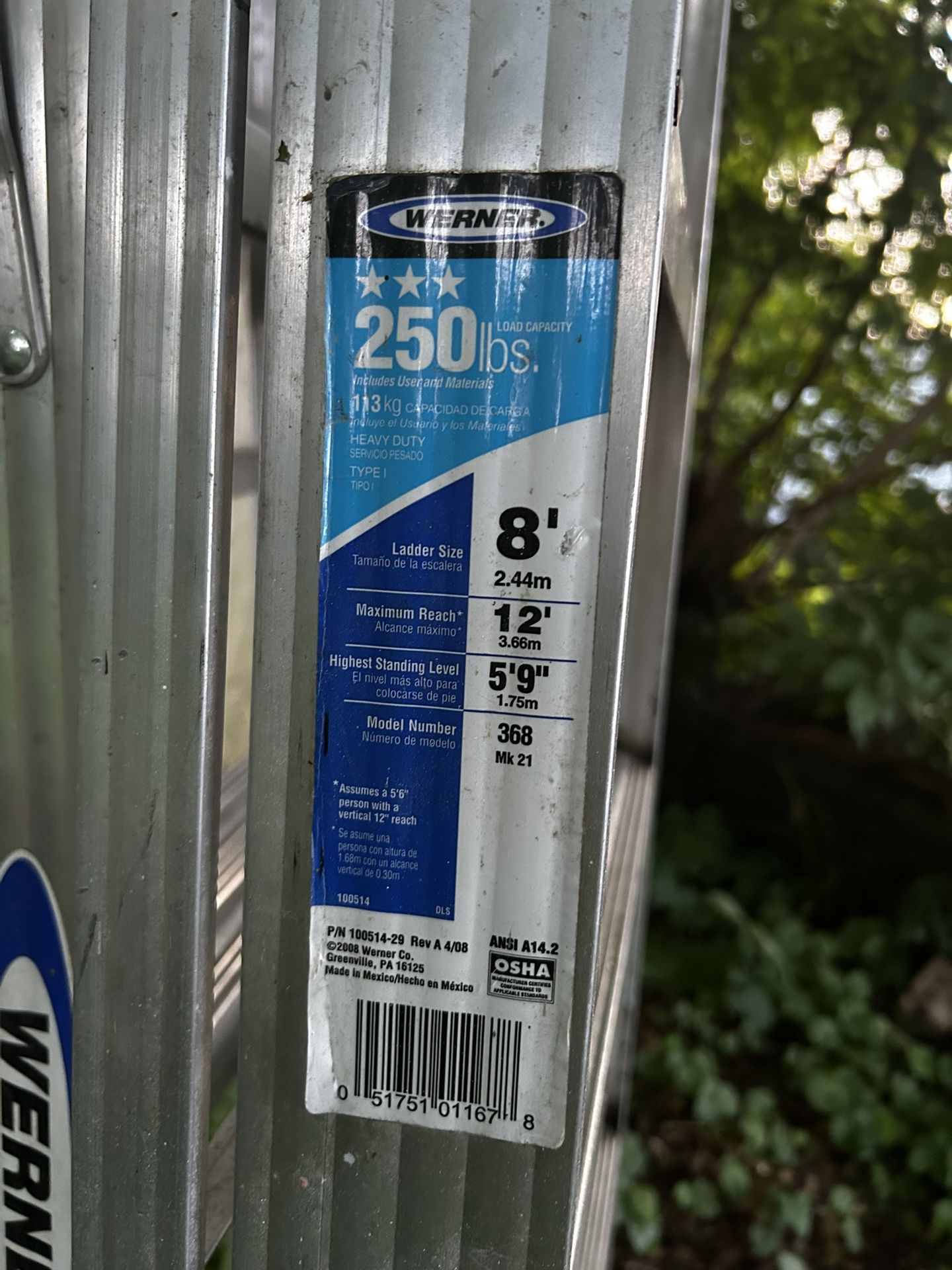 Werner 6ft/8ft Ladder