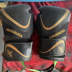 Haybusa Men’s Boxing Gloves