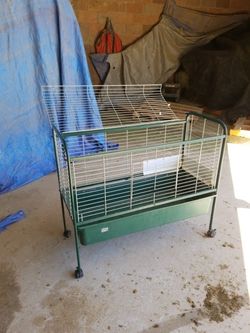 Bunnie cage