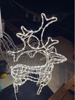 Holiday Lights