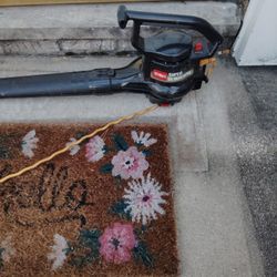 Toro Leaf blower 