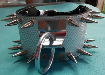 Custom dogs collars