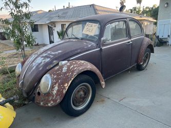 1965 VW Bug