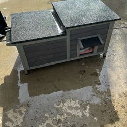 Cat House 