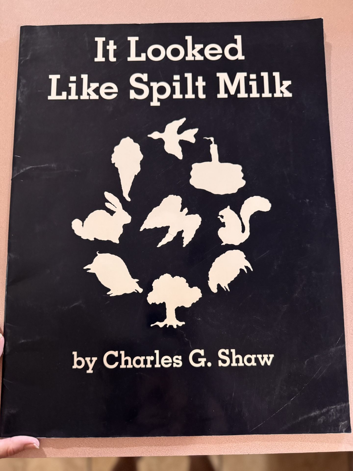 Large Kids Book. “ It Looked Like Spilt Milk”