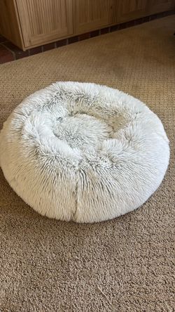 Cat or small dog bed