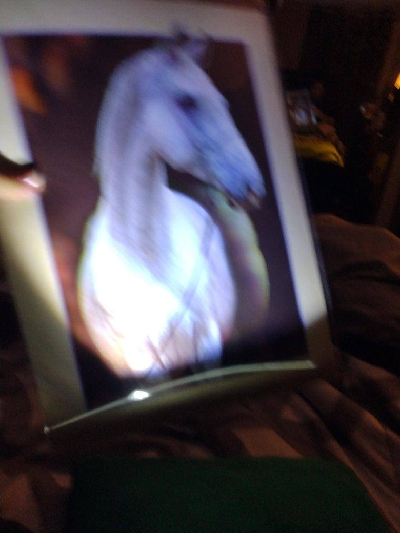 Póster Plástico 3d
