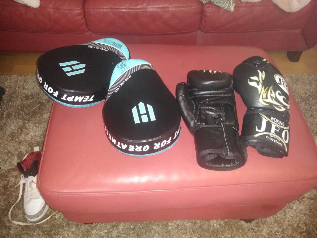 Professional boxing gloves JFO AND HAWK PUNCHING MITTS