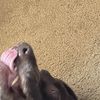 Andy