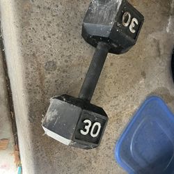 30 Lb Dumbell