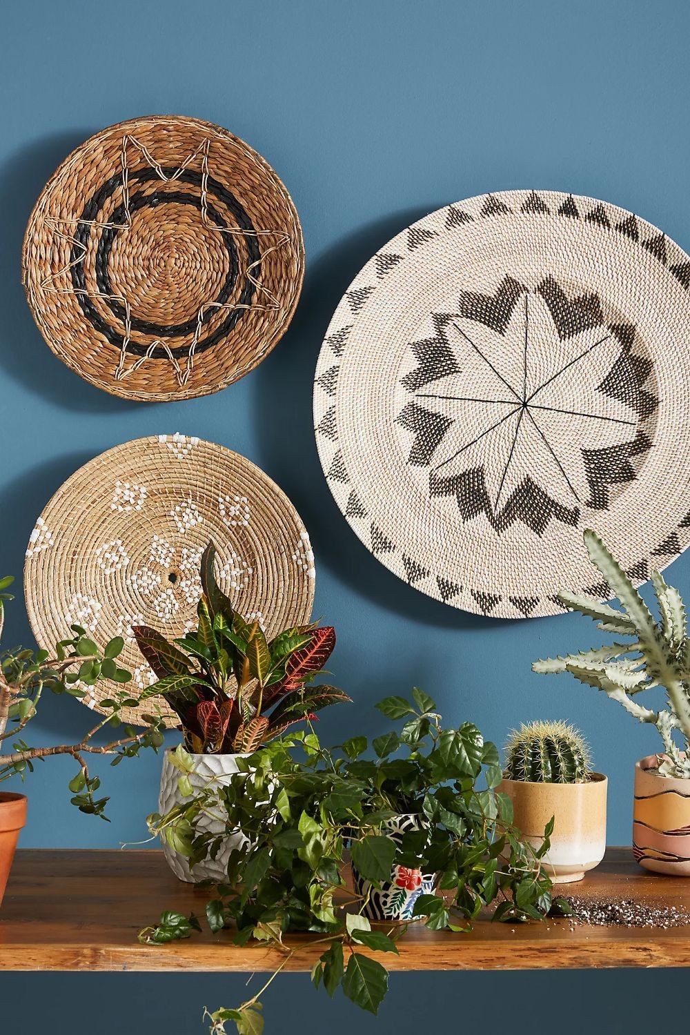 Anthropologie Hanging Basket