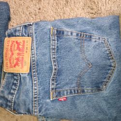 Levi's Dickies 