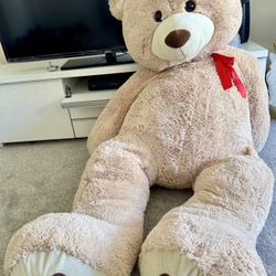 Huge Teddy Bear