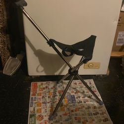 A Chair Walking Cane