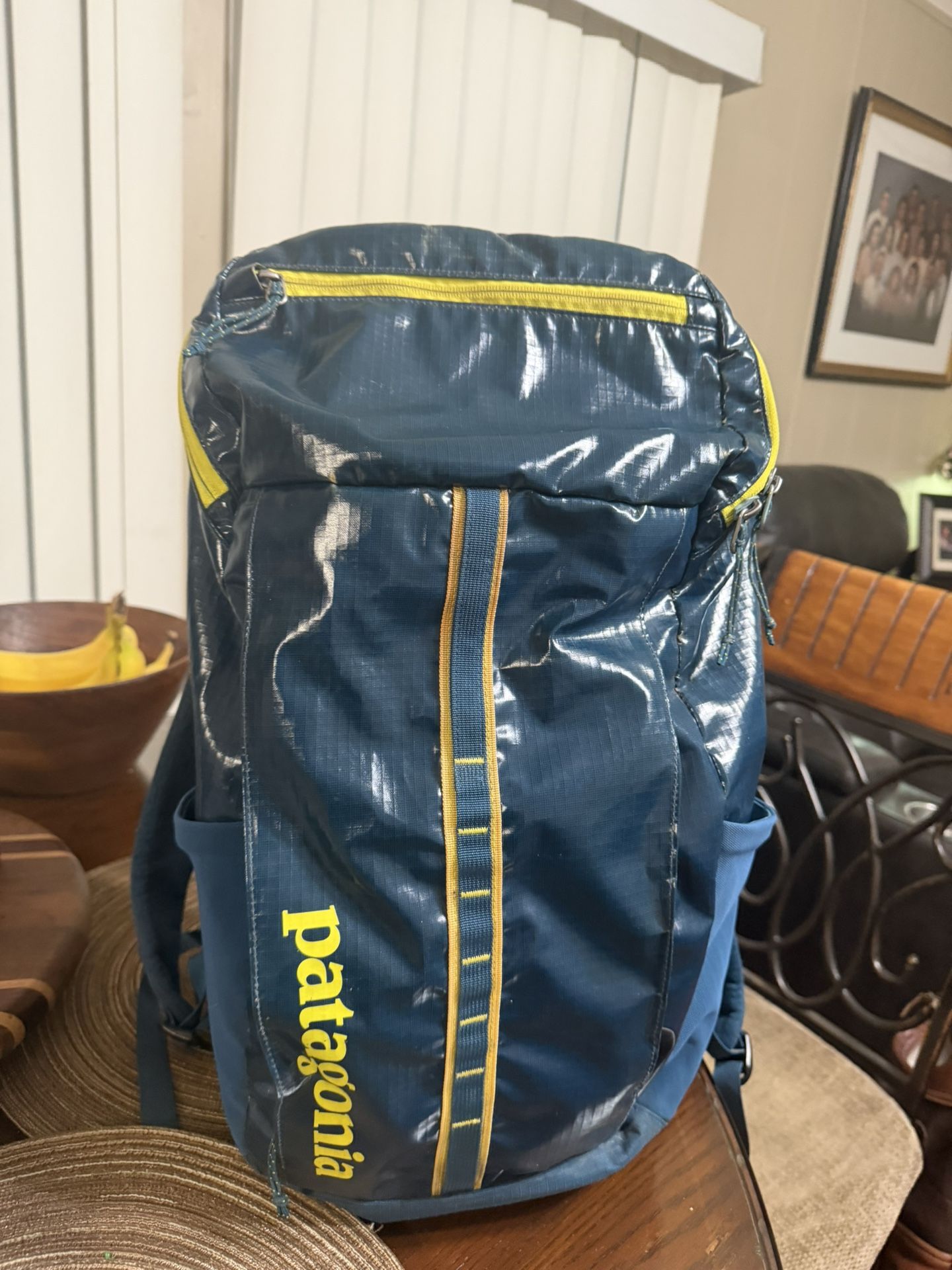 Patagonia Backpack