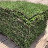 Grass Pallets