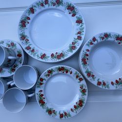 Christopher Stuart Berry Orchard Pattern Dinnerware 20 Pc. For Four. New