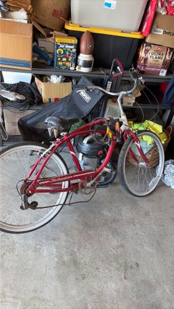 Schwinn Beach Cruiser
