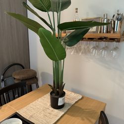 Faux Plant 