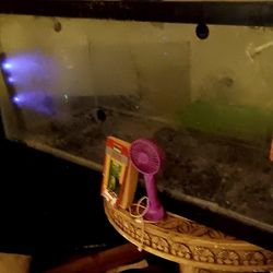 Fish Tank 90 Gallons