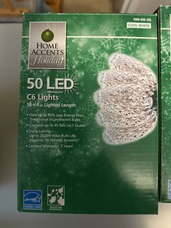 C-6 LED Christmas Lights
