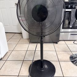 Fan