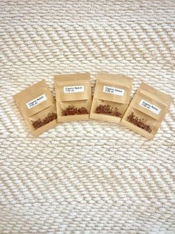 Organic radish seeds (100 ct)