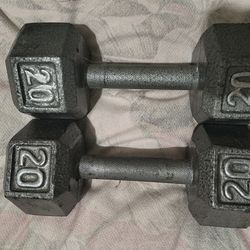 20 pound weights