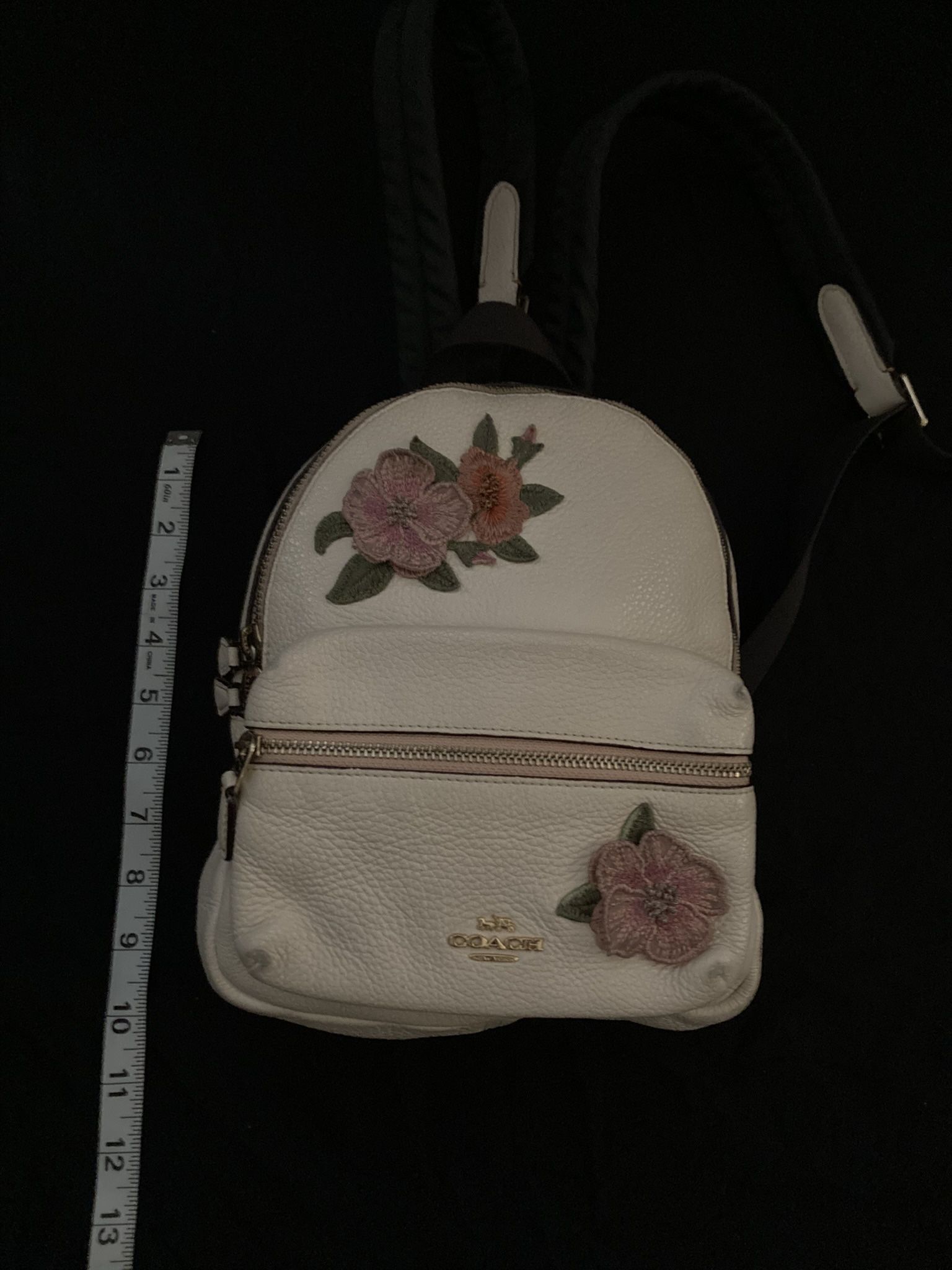 COACH Leather Backpack W/ Embroidery ~EUC