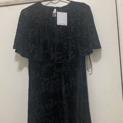 Brad New Size 6