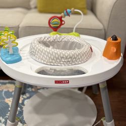 Skip Hop Baby Activity Center