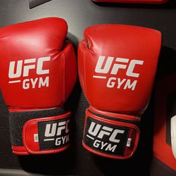 UFC Boxing Gloves 14 Oz