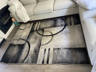 Carpet Barely Used Tobis Collection