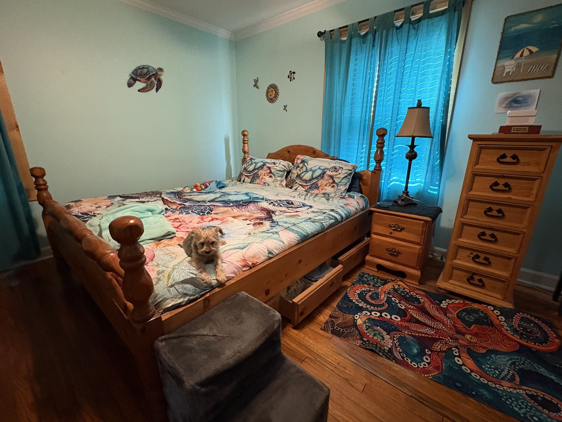 Super King Airbed (an older Model)