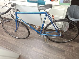 1985 schwin 10 speed badge 1135