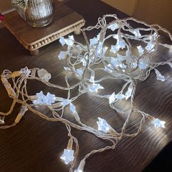 INDOOR/ OUTDOOR STAR LIGHTS