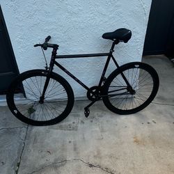 Zycle Fix Bike