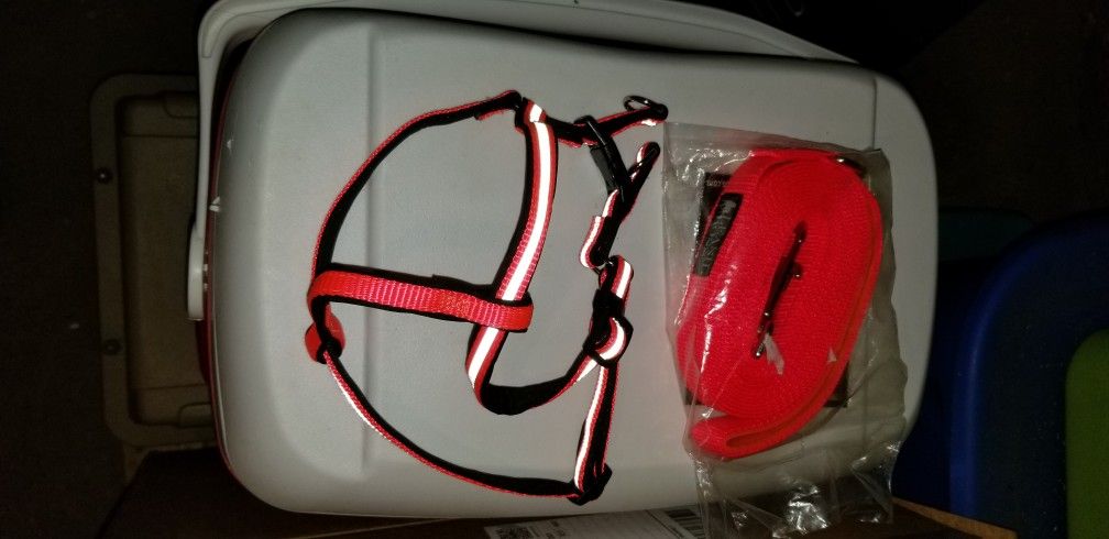 Dog Harness