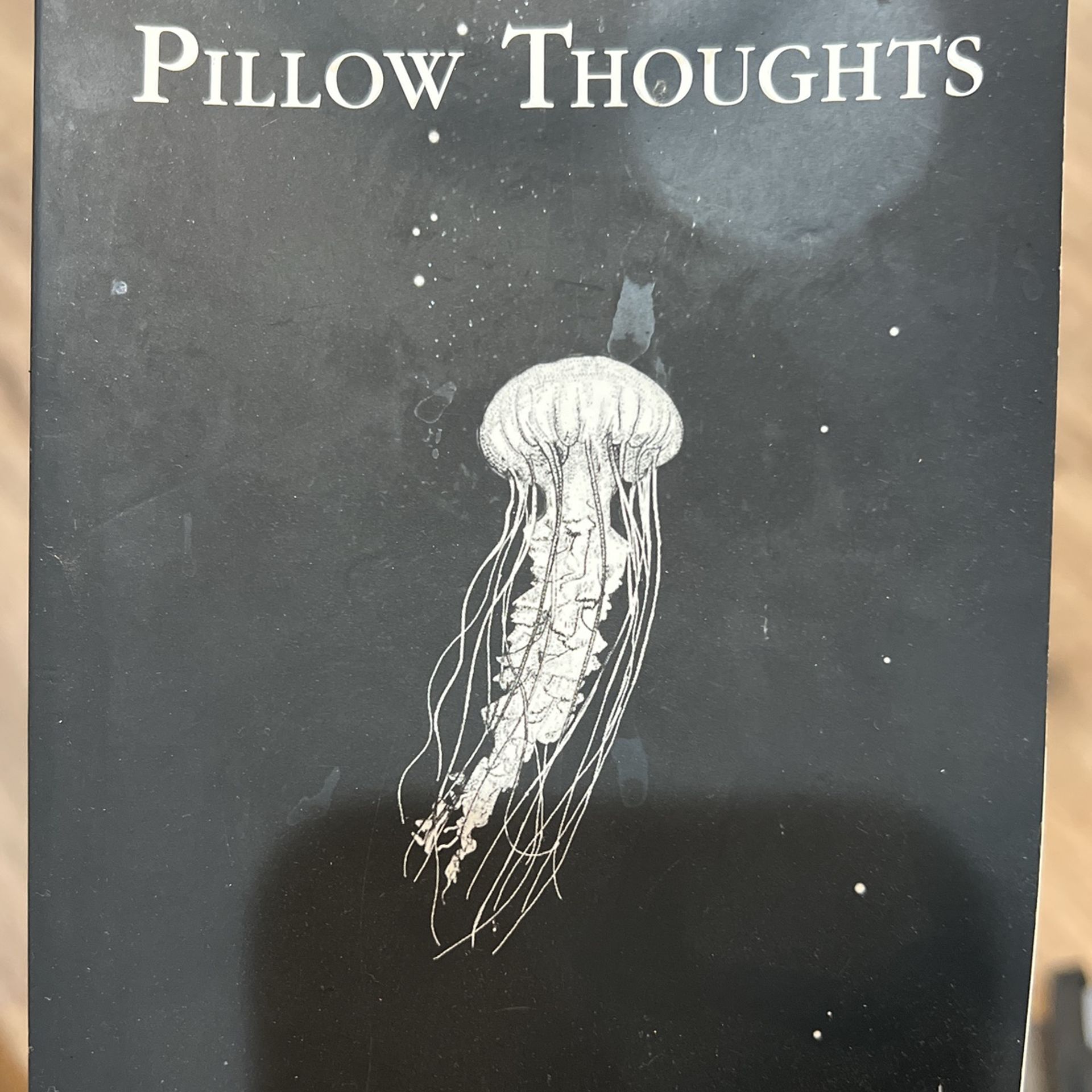 Pillow Thoughts By Courtney Peppernell